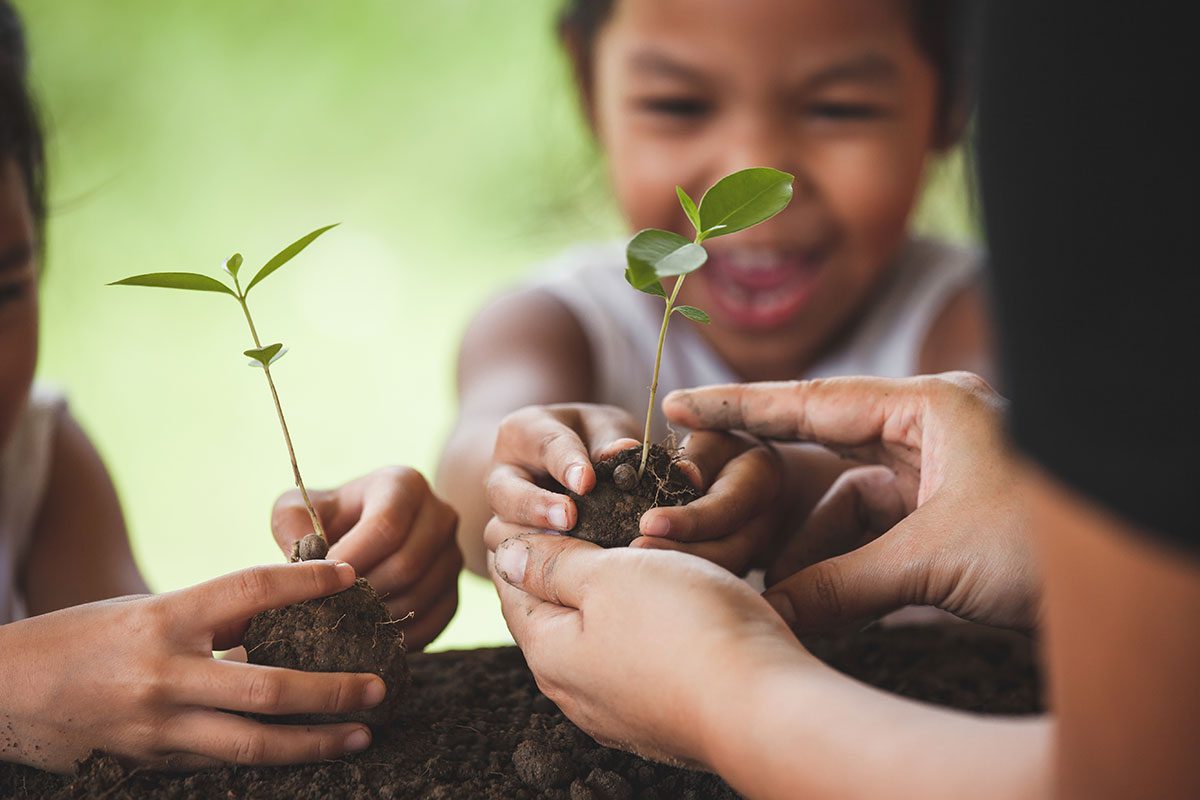 Are you an Aucklander thinking of building a new eco-friendly house?